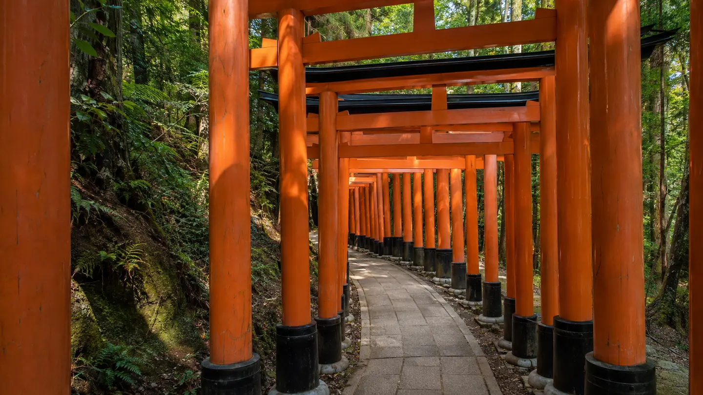 Illustration réaliste des tunnels de torii vermillon de Fushimi Inari